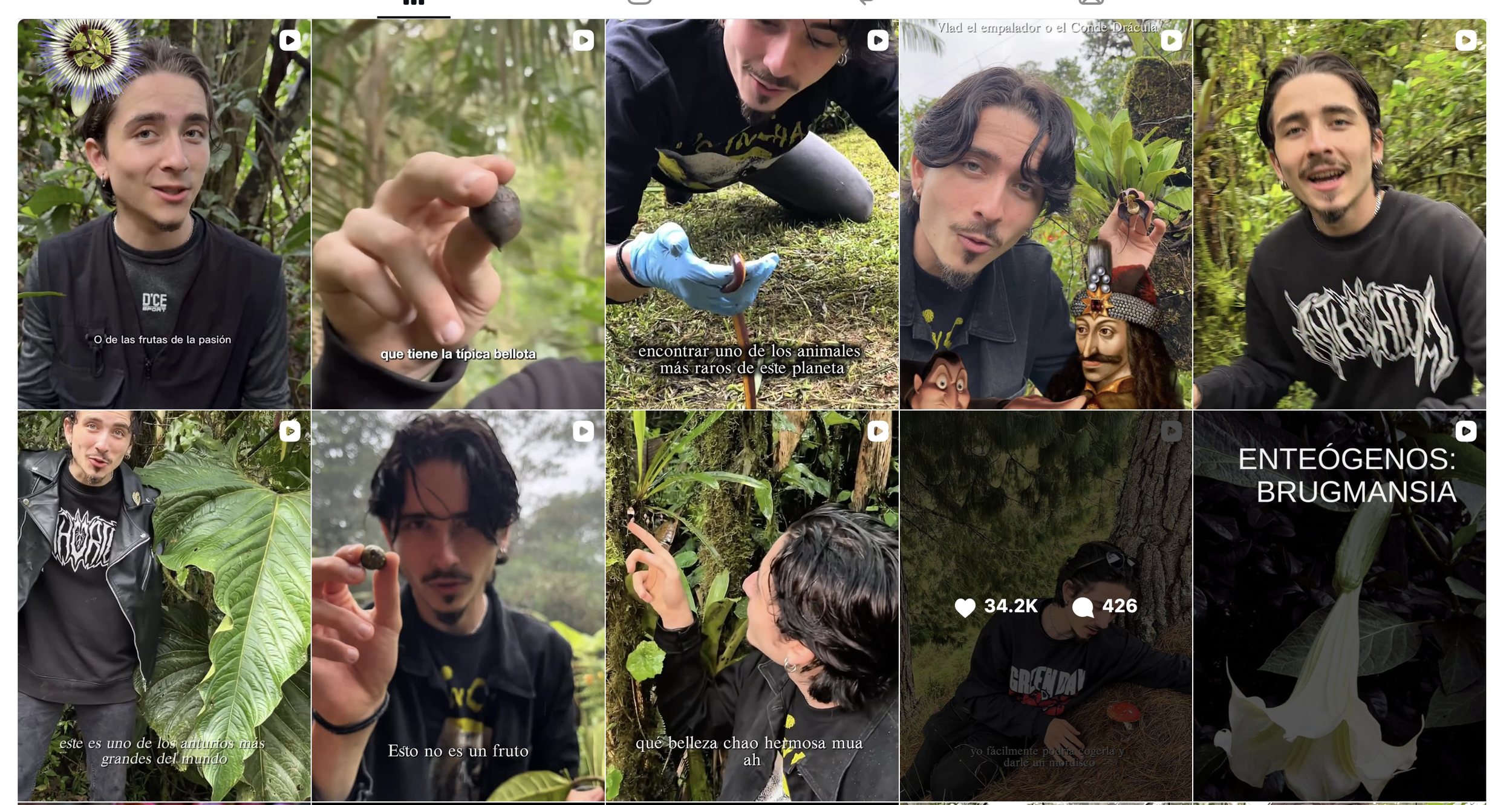 Felipe Dendron y Las Plantas