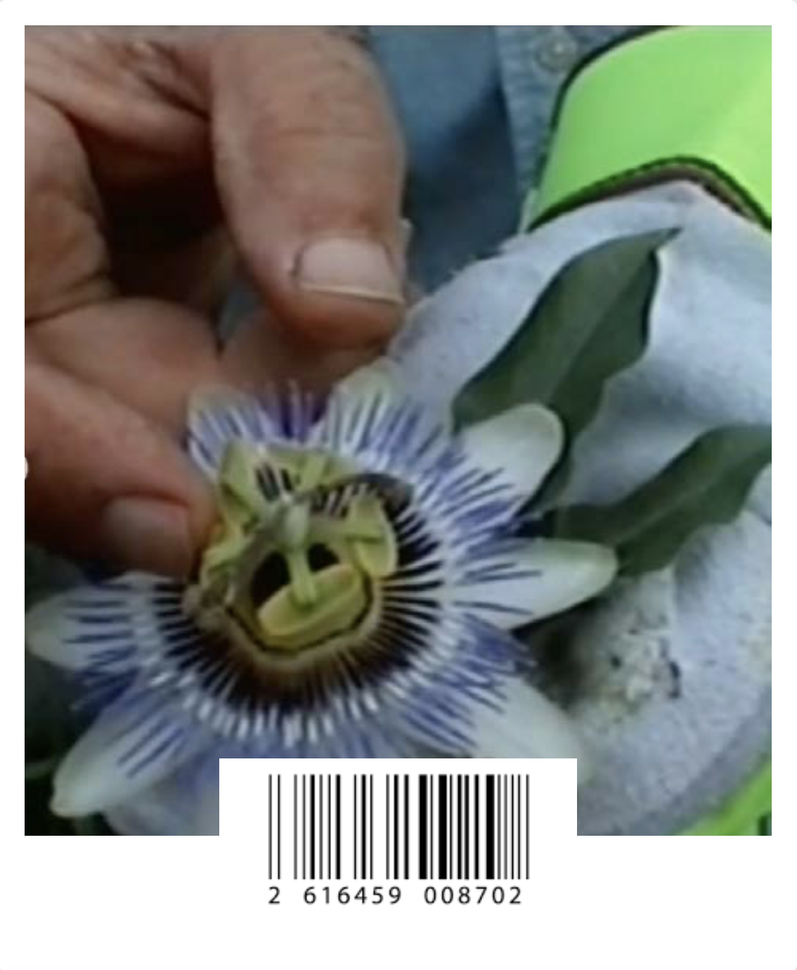 Bildschirmfoto 2026-03-21 um 14.13.10.png