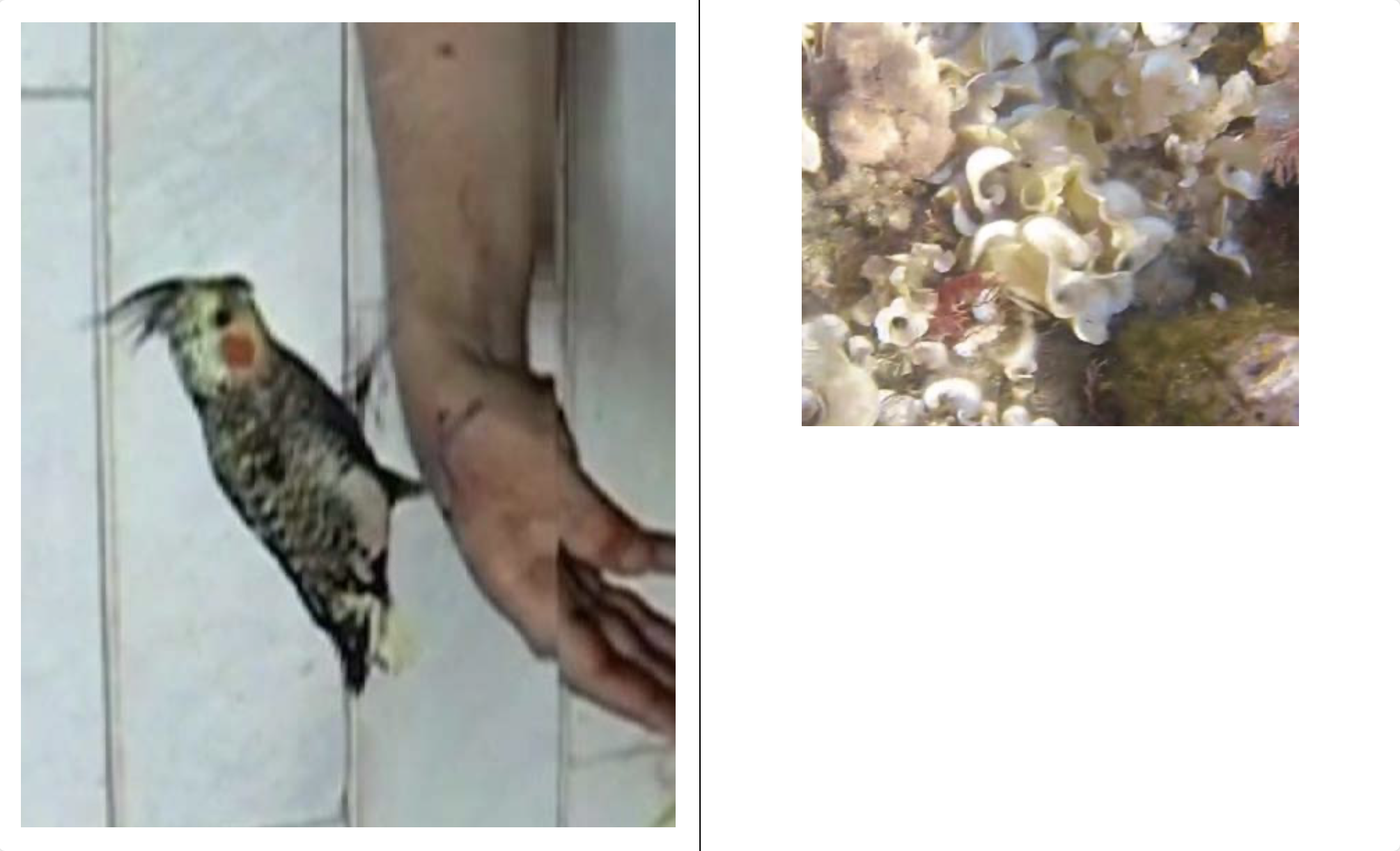 Bildschirmfoto 2026-03-21 um 14.11.01.png