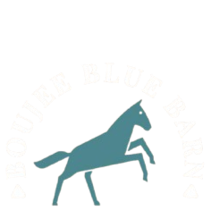 Boujee Blue Barn