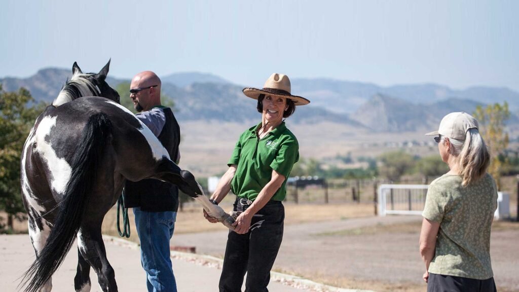 A woman in a green shirt and wide-brimmed hat smiling and holding a horse's hoof, standing outdoors with two other people and a black-and-white horse, landscape with mountains in the background.