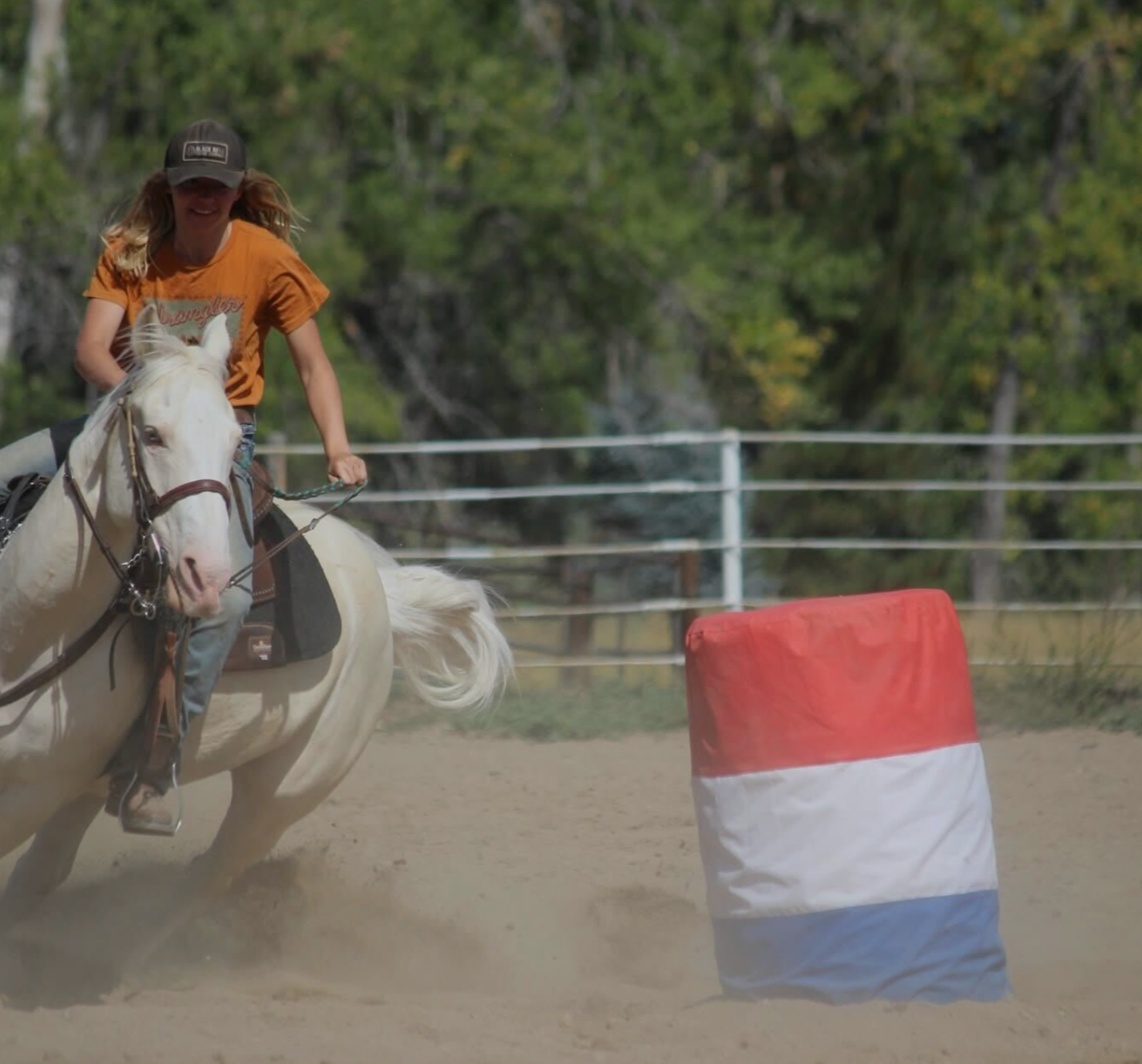 Equine sports medicine