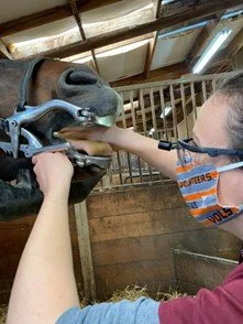 A person wearing safety glasses and a mask feeding a horse with a carrot in a barn.