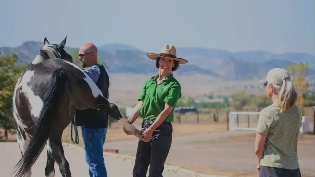 A woman in a green shirt and wide-brimmed hat smiling at the camera while holding a leash attached to a pinto horse, with a man and another woman in the background during a sunny day in a rural setting.