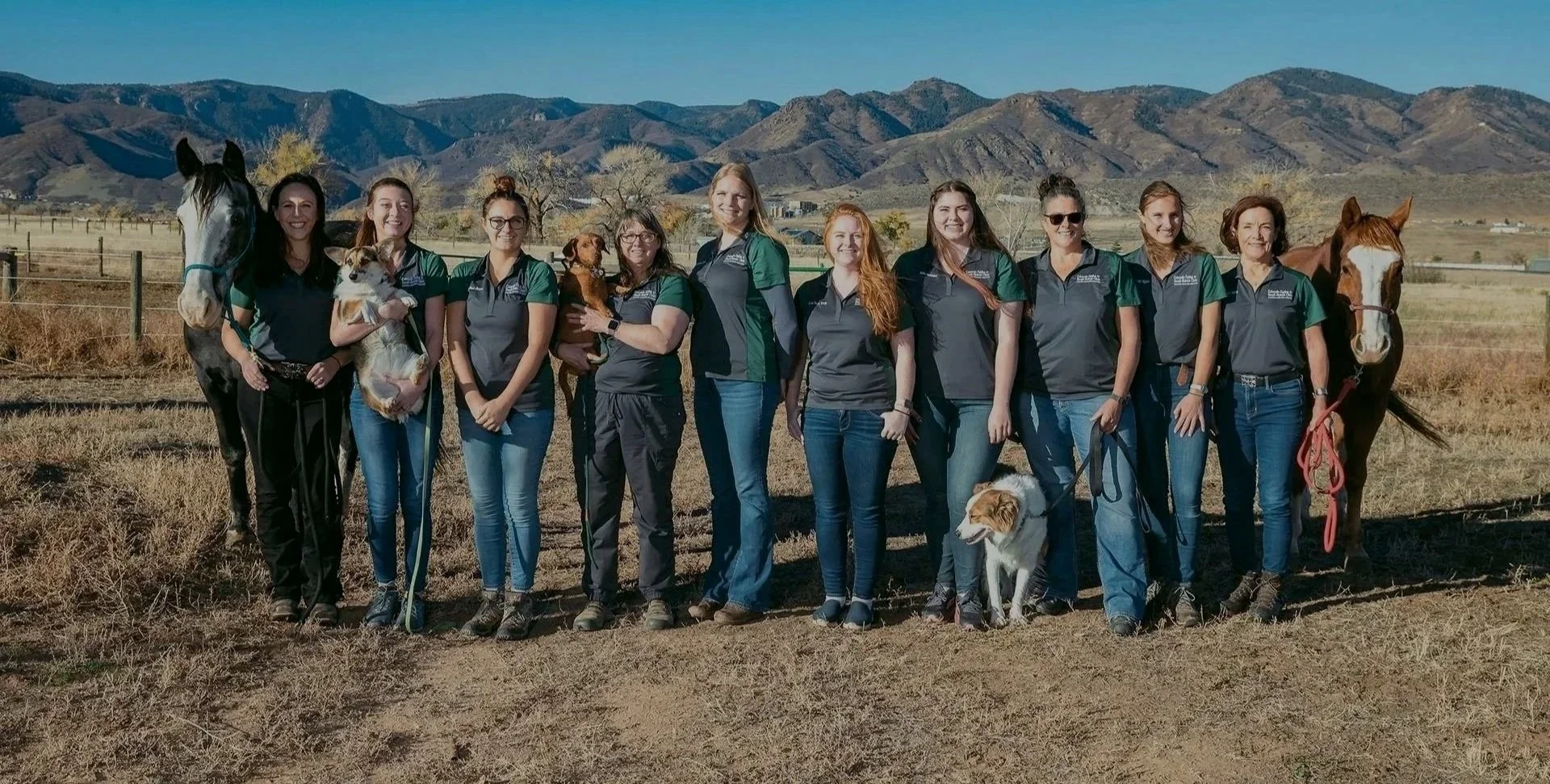 Group of women standing outdoors in a rural area with mountains in the background, some holding dogs, wearing matching dark gray and green shirts.