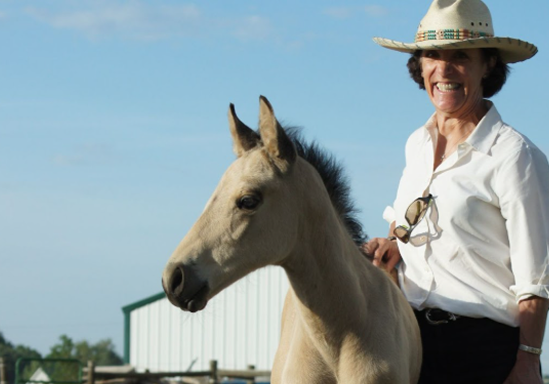 Equine reproductive care