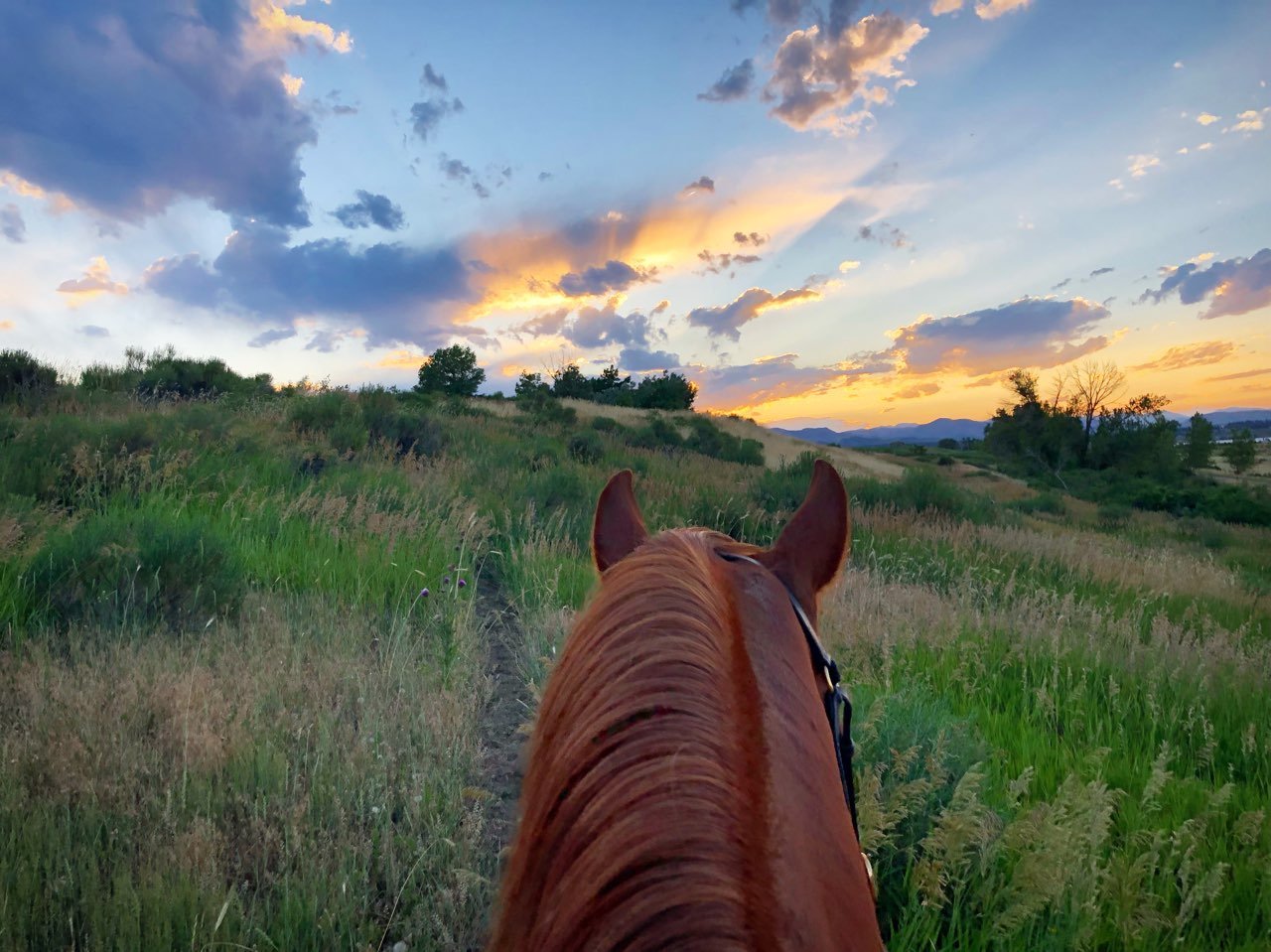 View from horseback riding through green fields at sunset, with a colorful sky and clouds.