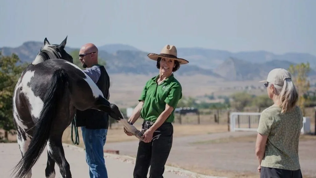 A woman in a green shirt and straw hat smiling as she pets a horse's front leg while two people, a man and a woman, look on in an open outdoor setting with hills in the background.
