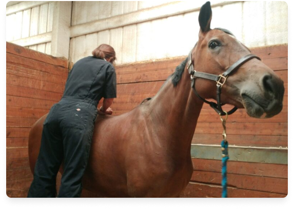 A woman leaning over a brown horse inside a wooden stable.