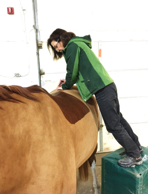 A woman in a green jacket and black pants standing on a green platform, leaning over a brown and white horse, grooming or inspecting it inside a garage or barn.
