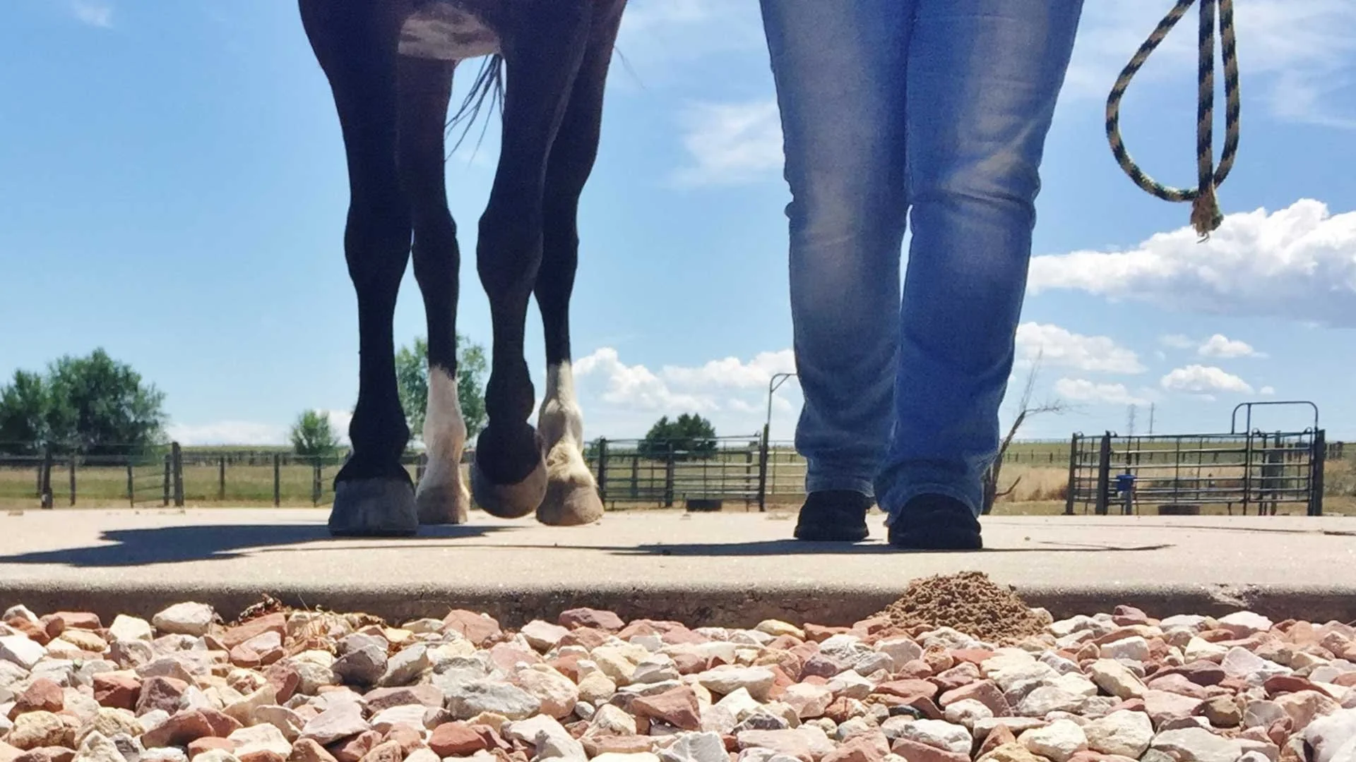 Close-up of a person walking a horse on a dirt surface surrounded by rocks, with a clear blue sky and open fields in the background.