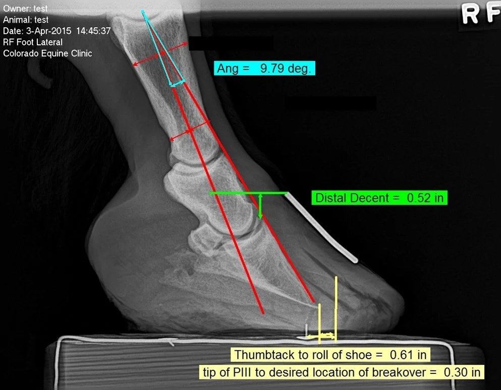Lateral X-ray of a horse's right front foot, showing measurements and angles related to hoof alignment and breakover points.