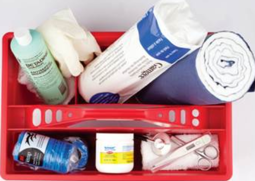 Red plastic organizer containing medical supplies such as antiseptic spray, rolled bandage, scissors, cotton swabs, and disinfectant bottle.