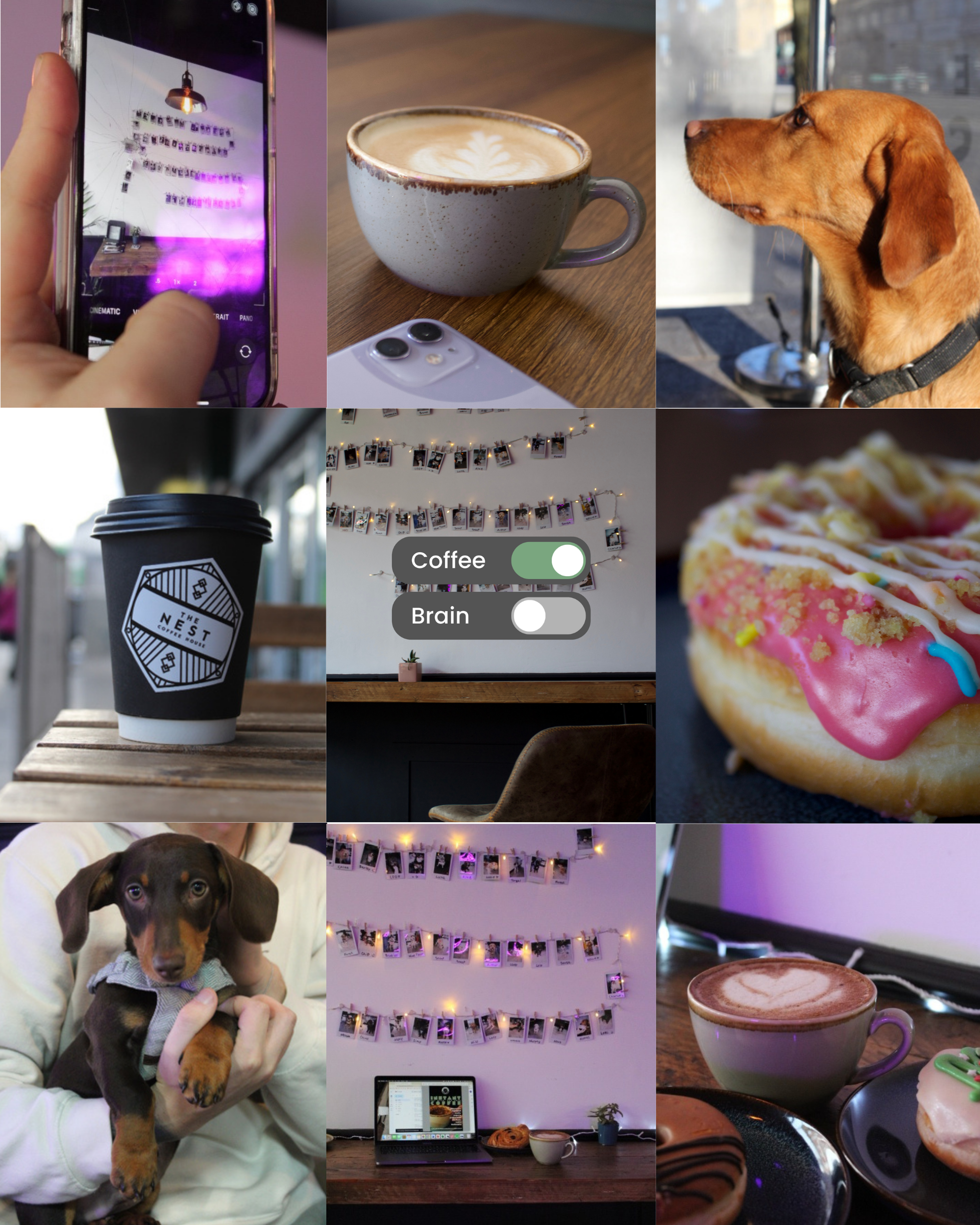 Collage of nine images showing a person using a phone to take a photo of a lamp, a cup of coffee on a wooden table, a dog looking out a window, a take-out coffee cup, a wall of hanging Polaroid photos with a "Coffee" and "Brain" toggle switch, a close-up of decorated pink and white donut, a person holding a puppy, a wall of Polaroid photos with a laptop and a plant, and a hot chocolate with a decorated donut.