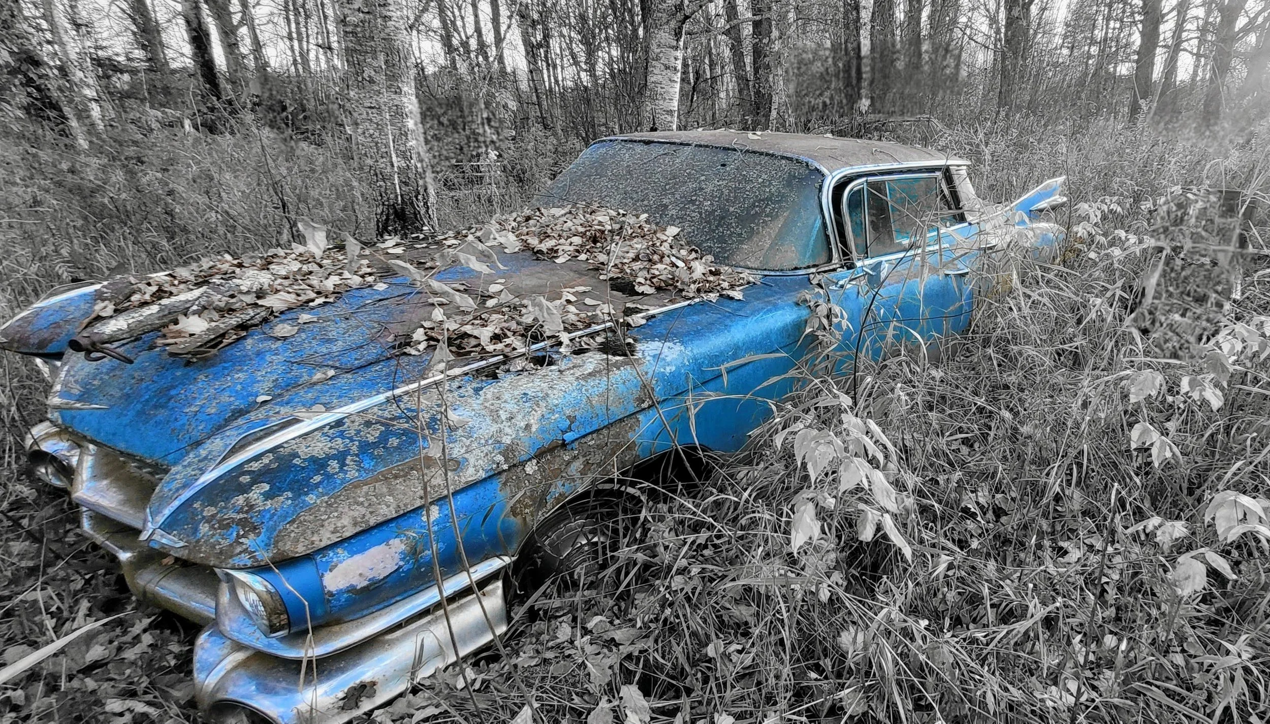 Cadillac - Private Property Palisade Mn 