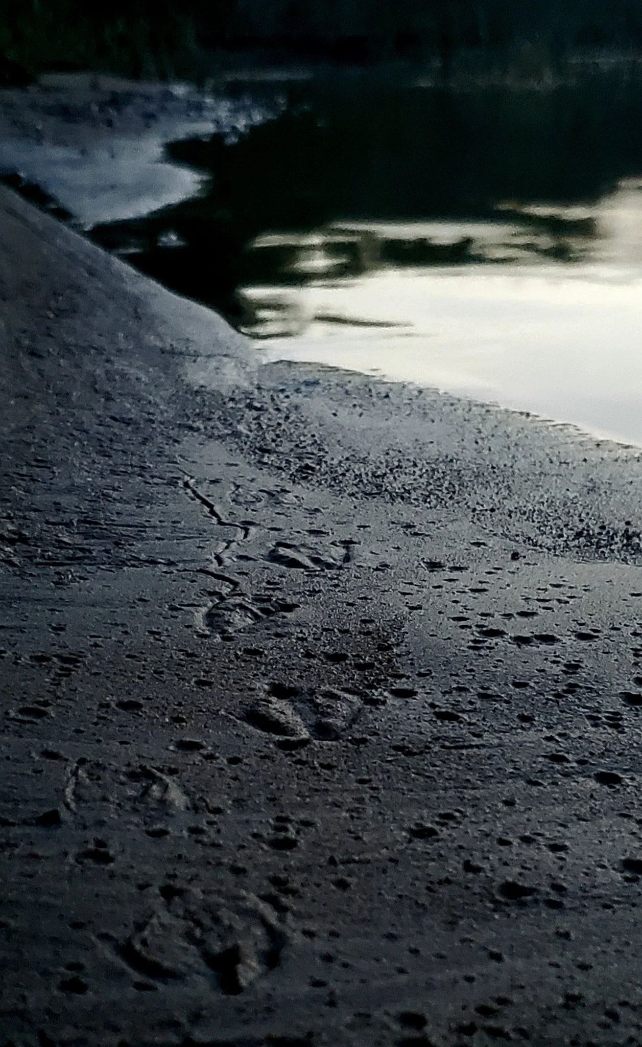 Sand Tracks.jpg