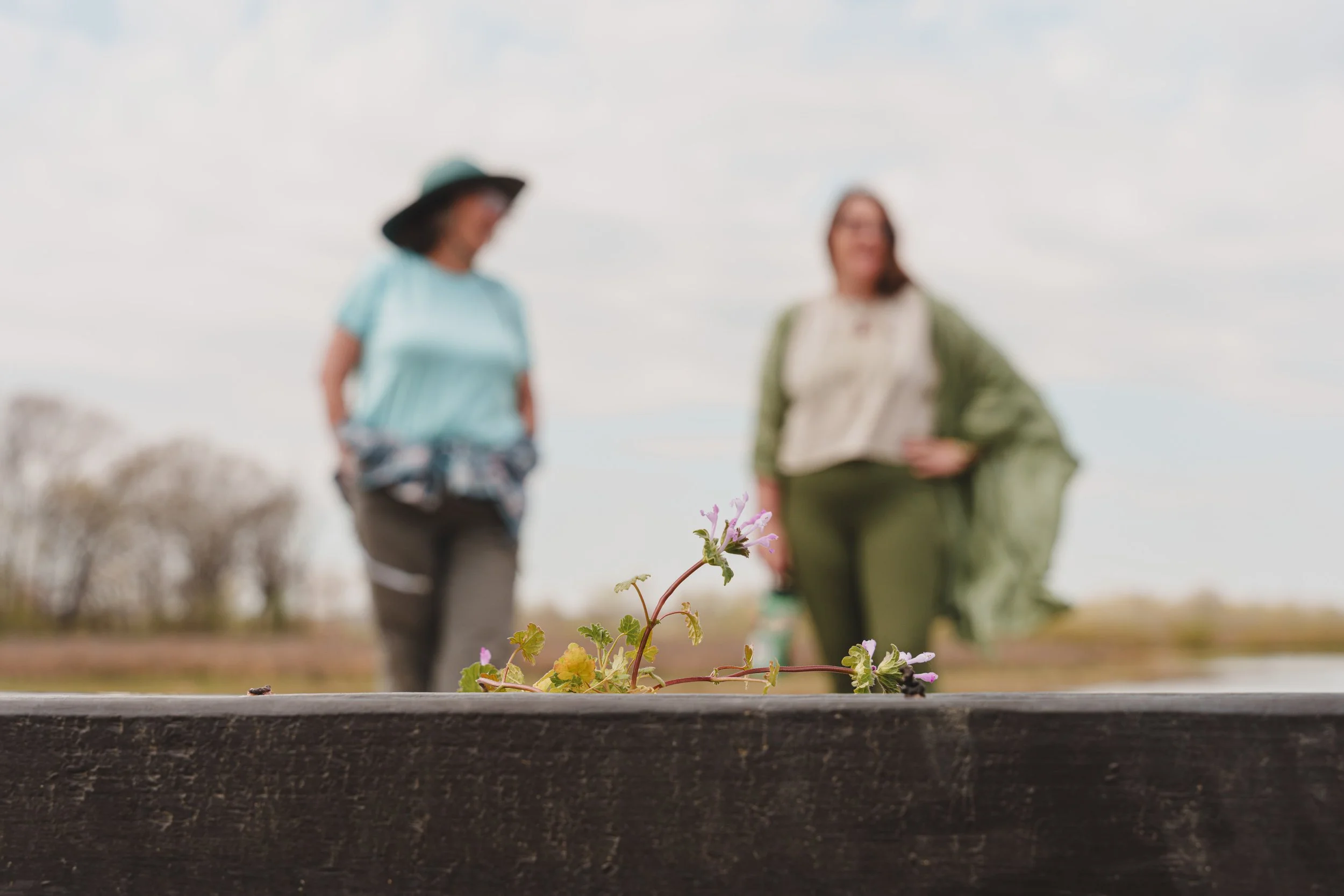 explore the outdoors in Jackson: nature, trails, &amp; quiet Escapes