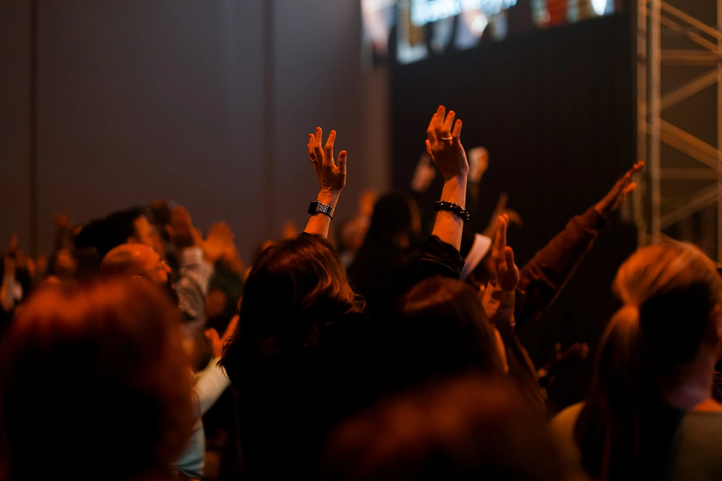 DSC08396.jpg
