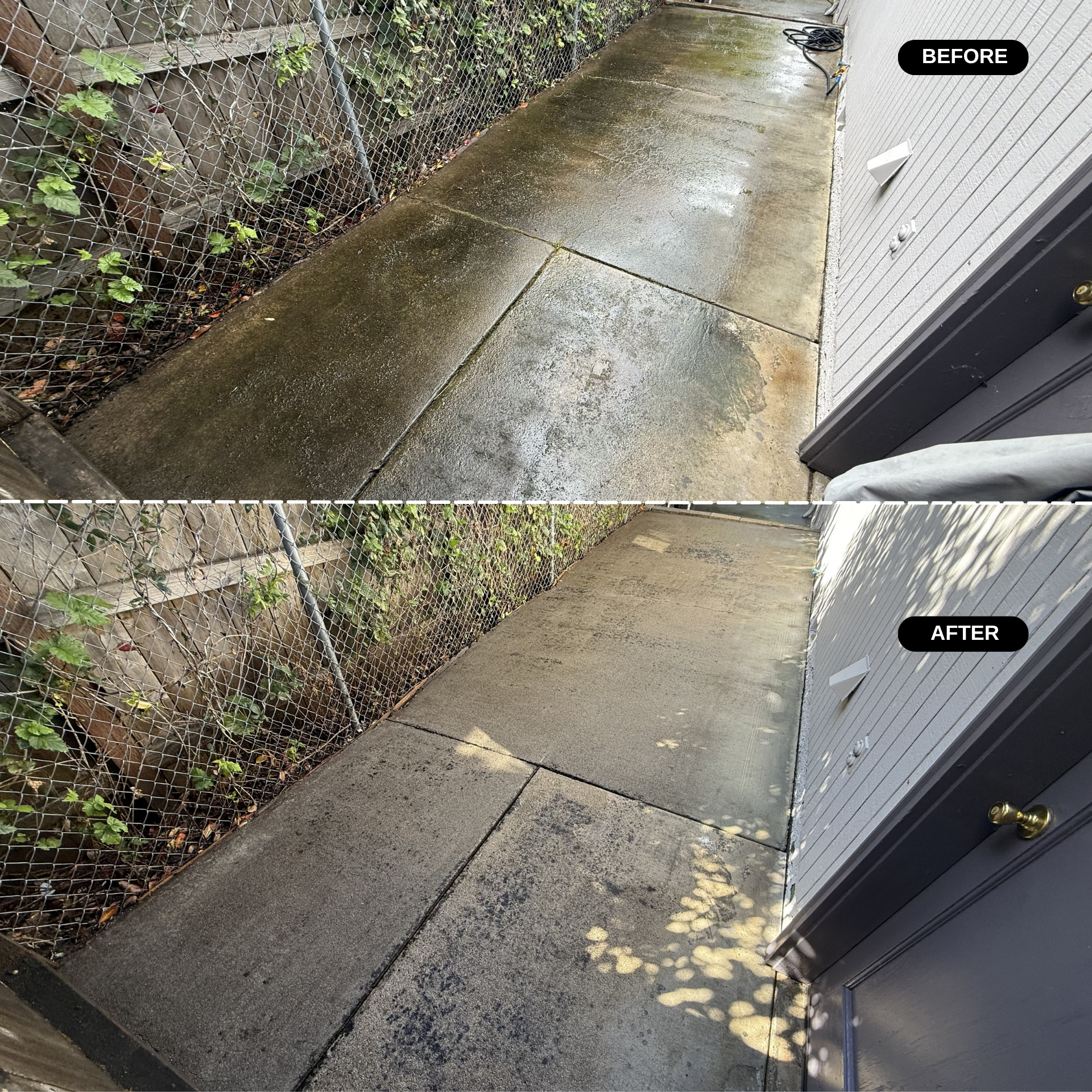 Clean, wet concrete porch area with a door on the right and a chain-link fence with plants on the left.