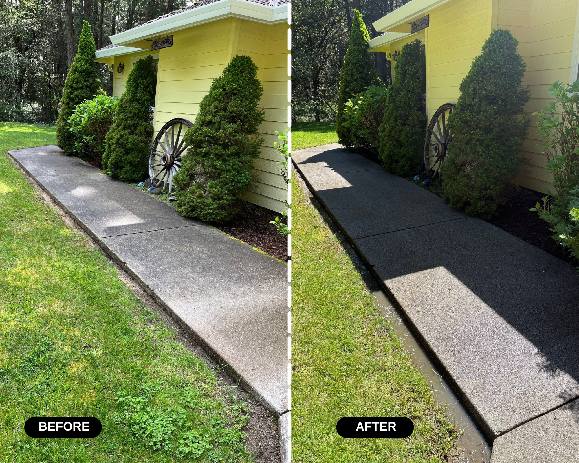 Side-by-side comparison photo showing a concrete sidewalk in front of a yellow house with green bushes and trees, with the left side labeled 'BEFORE' and the right side labeled 'AFTER'. The 'AFTER' side shows the sidewalk cleaned, and a small patch o