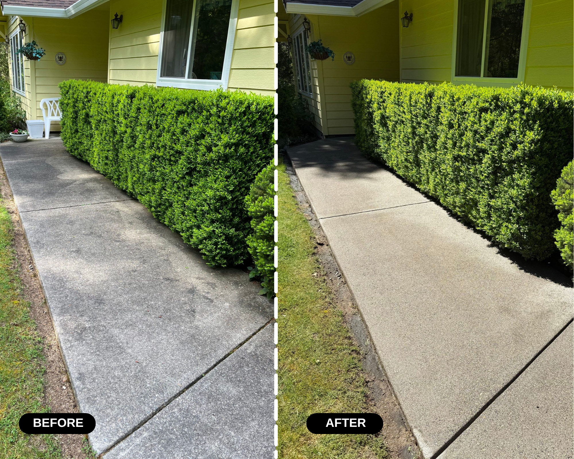 Side-by-side comparison of a sidewalk and hedge before and after cleaning. The left side shows a dirty sidewalk and untrimmed hedge, while the right side features a clean sidewalk and well-manicured hedge.