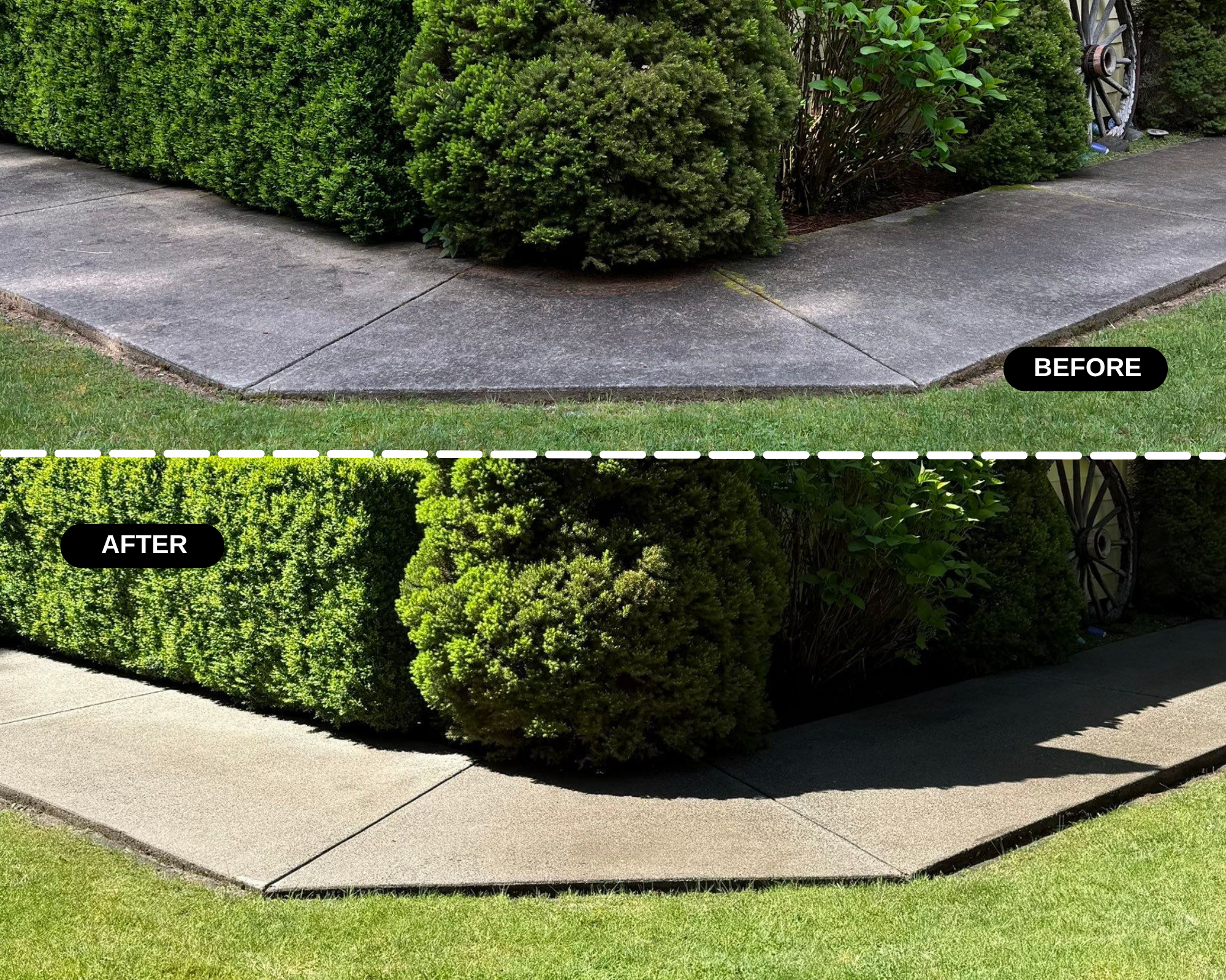 Before and after images showing a concrete sidewalk, with the before image displaying moss or staining along the edges and the after image showing a clean, moss-free sidewalk.