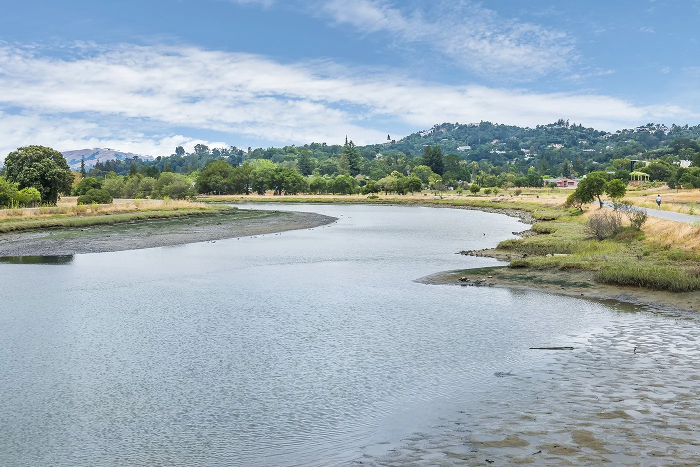 A wide view of a calm river flowing through a landscape with green trees and grassy banks, with hills and houses in the background under a partly cloudy sky.