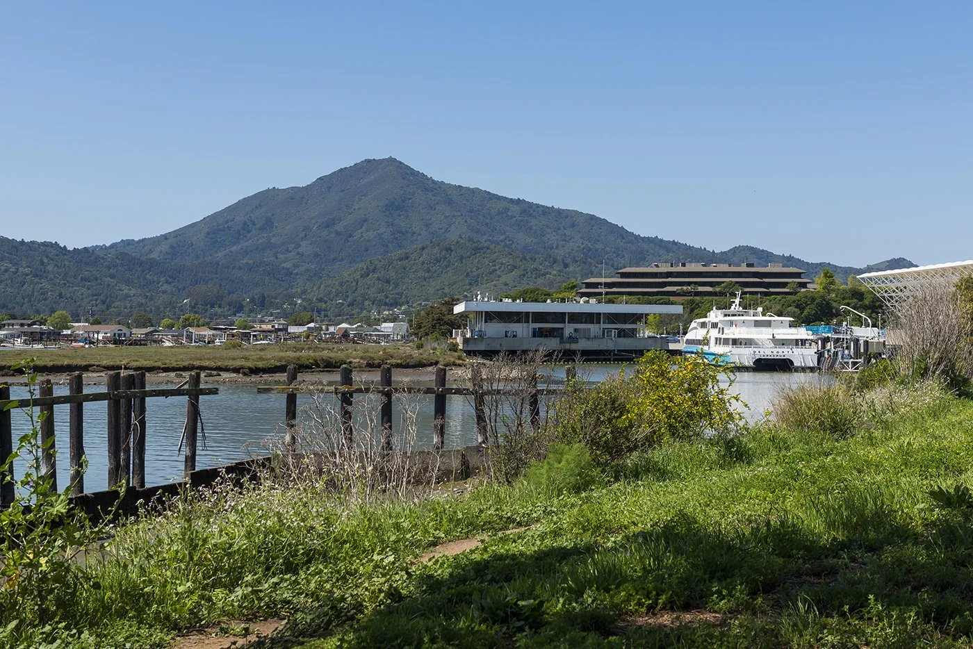 A scenic view of a coastal area with a mountain in the background, a dock with boats, and lush green grass and bushes in the foreground.
