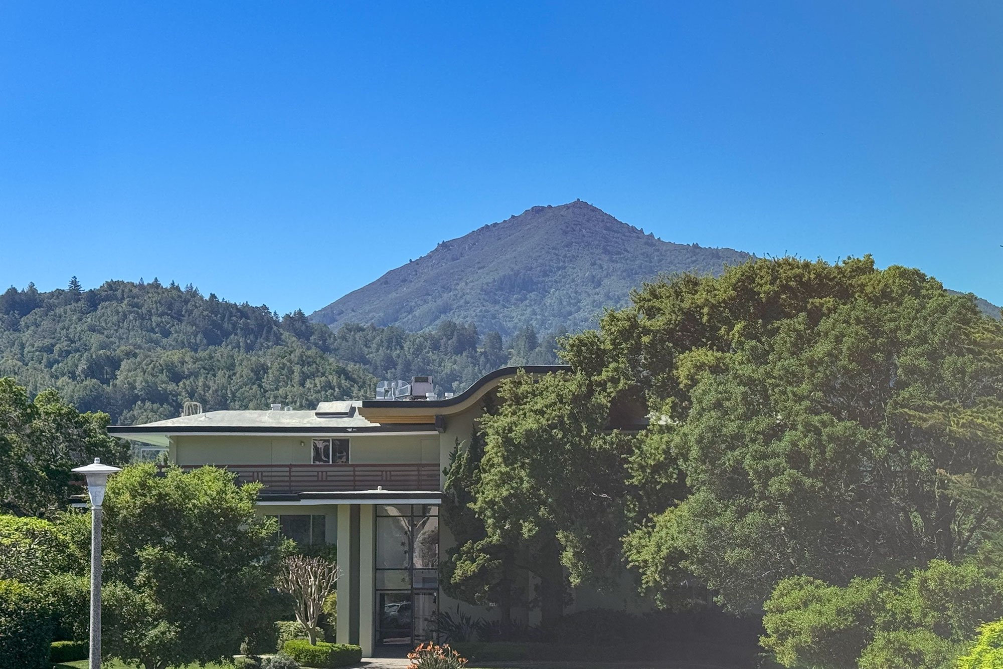 Residential building with lush green trees, mountain in the background under a clear blue sky.