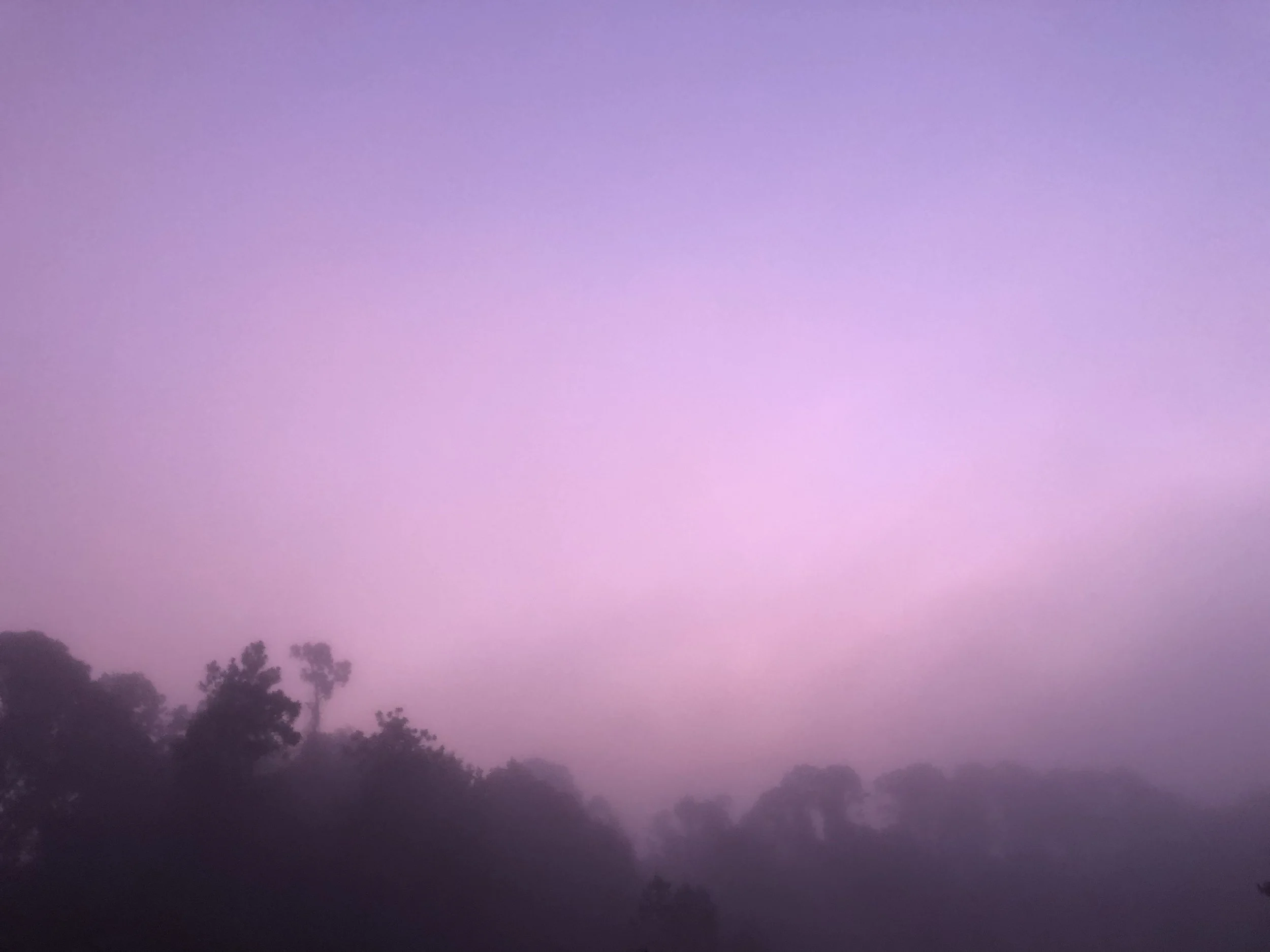 Good Morning Color.jpeg