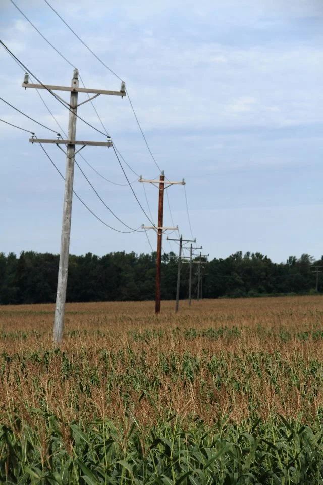 307859_1922965563471_1522067380_31510708_1784536058_n.jpg