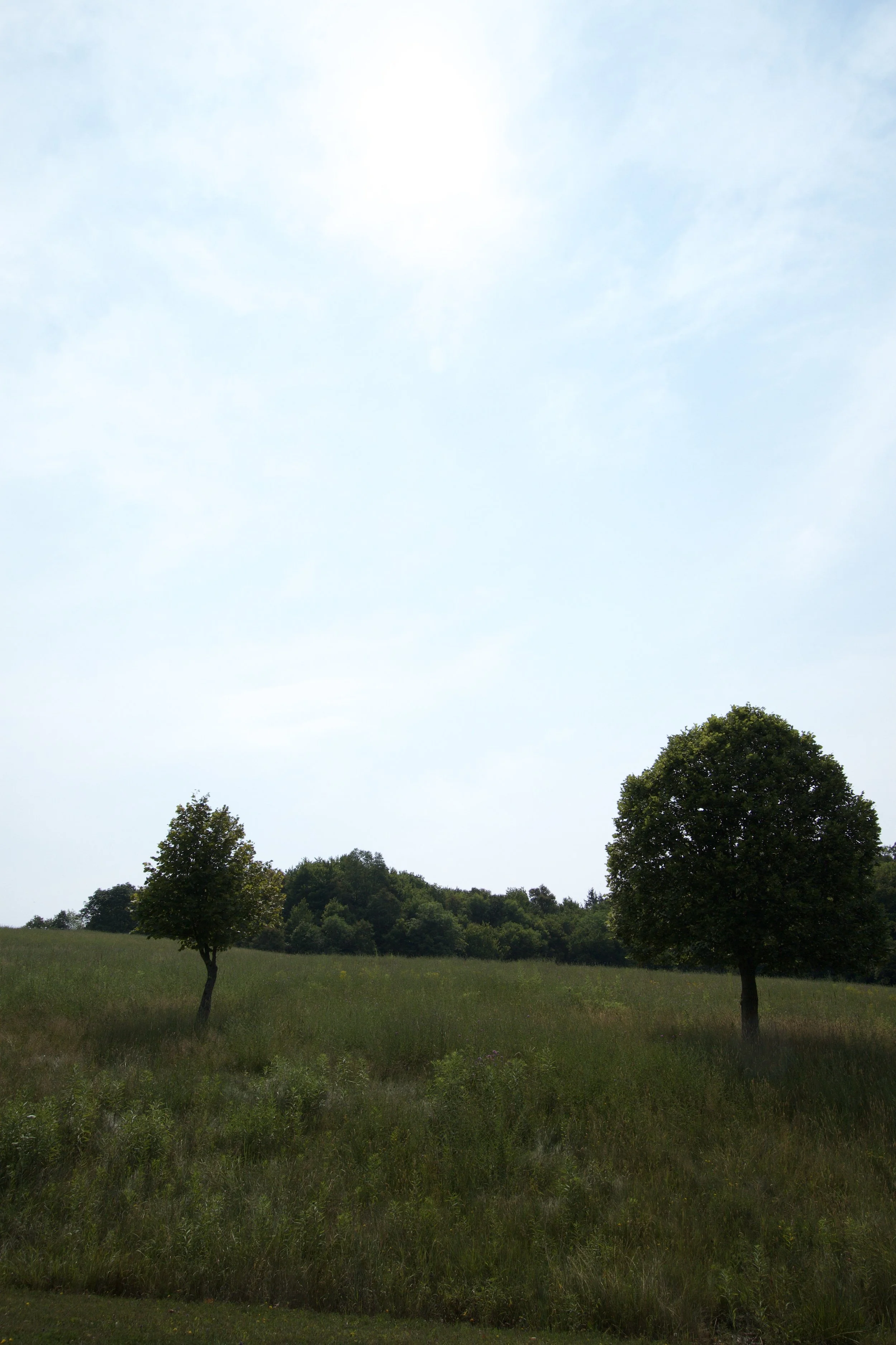 IMG_0888 2.jpeg