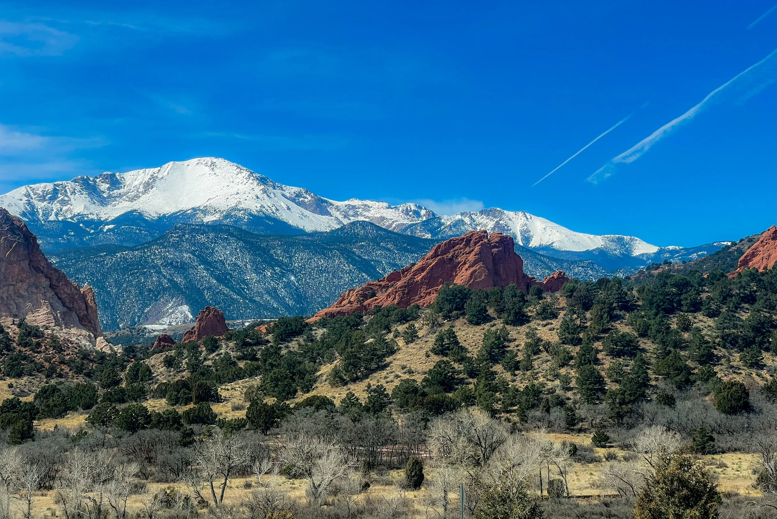A007C1F0-E4D2-48EF-BFD4-A6AC09860FA4.JPEG