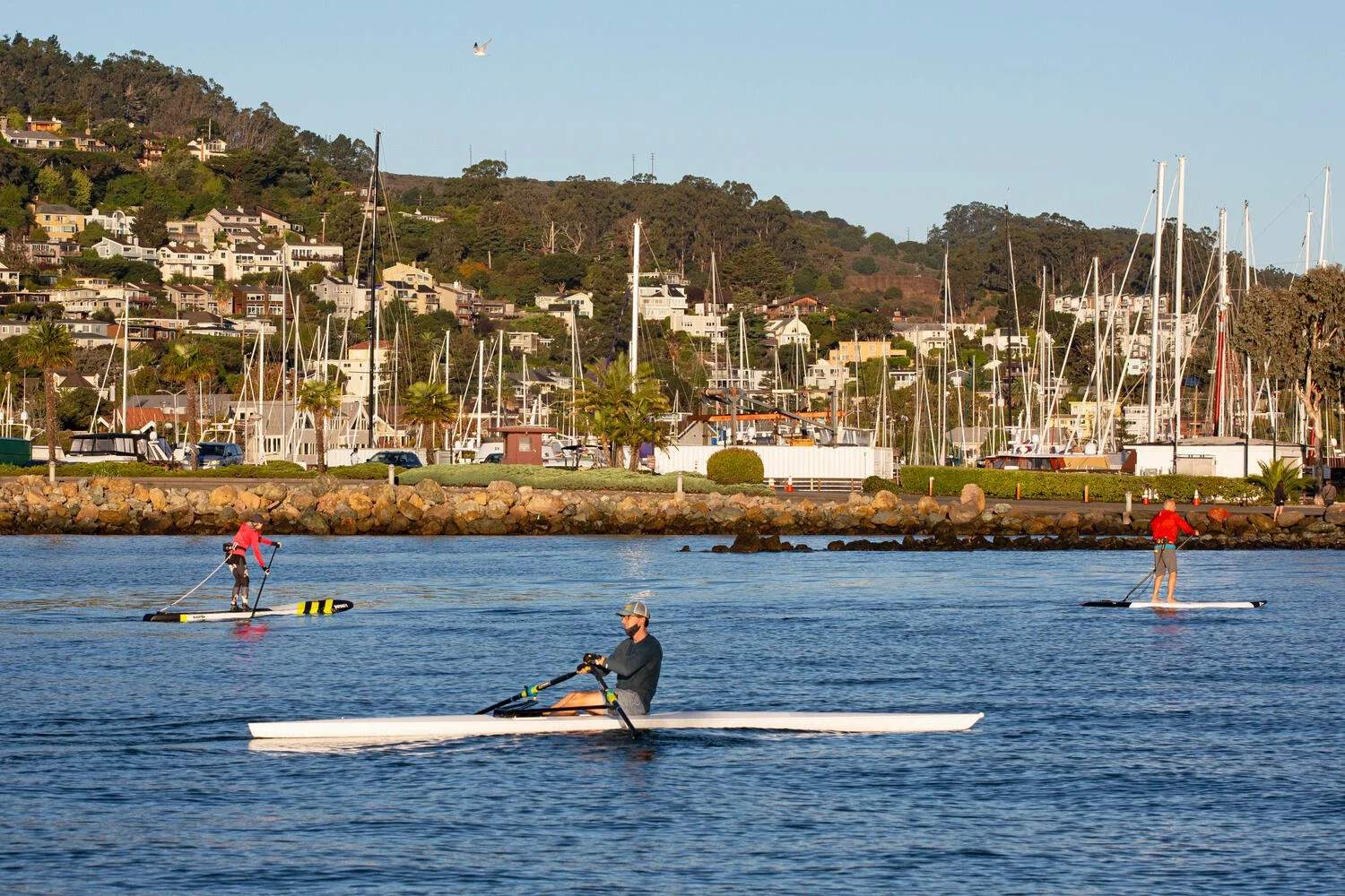 32 Crescent Ave Sausalito CA-large-043-055-S3A9257-1500x1000-72dpi.jpg