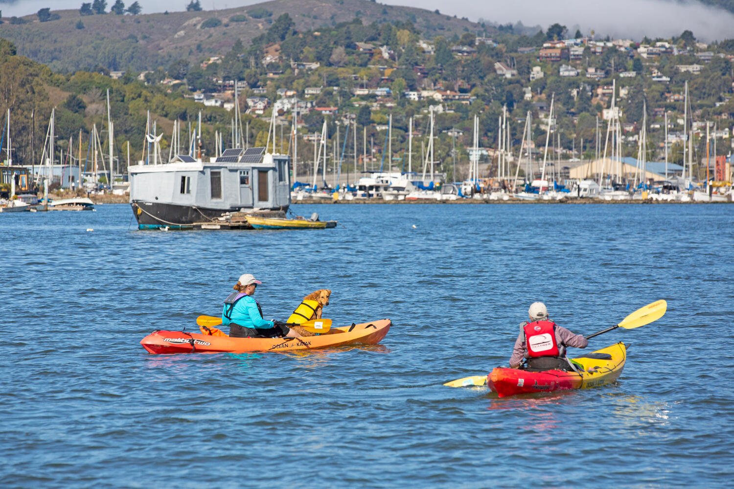 32 Crescent Ave Sausalito CA-large-042-052-S3A9608-1500x1000-72dpi.jpg