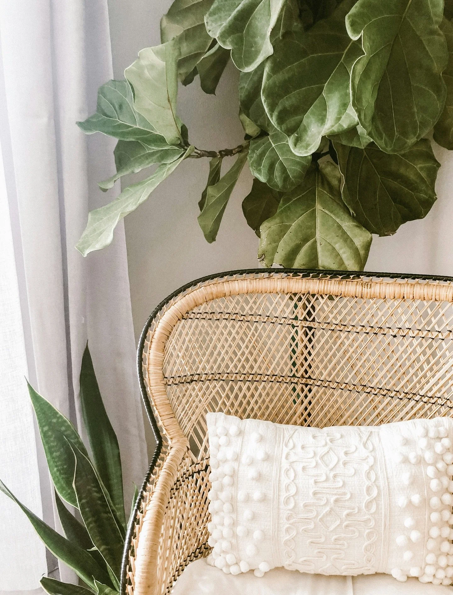 We like our homes crisp, clean, and full of green 🪴 🤍 

Layers of cane, linen, and living elements create a space that feels both grounded and elevated&mdash;where slow mornings and quiet moments just happen.
#cozycorner #cozyspace #softliving #int