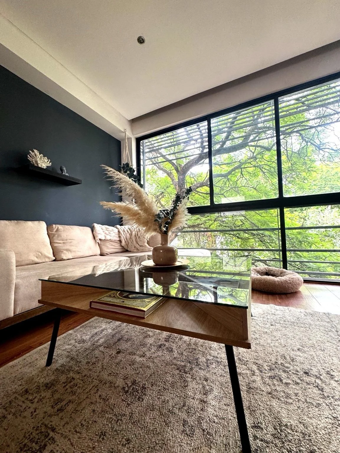 How it&rsquo;s going &mdash;-> How it started 🏡 🪴 ✨ 
.
#transformation #homedesign #neutralhome #cozyminimalism #interiordesign
