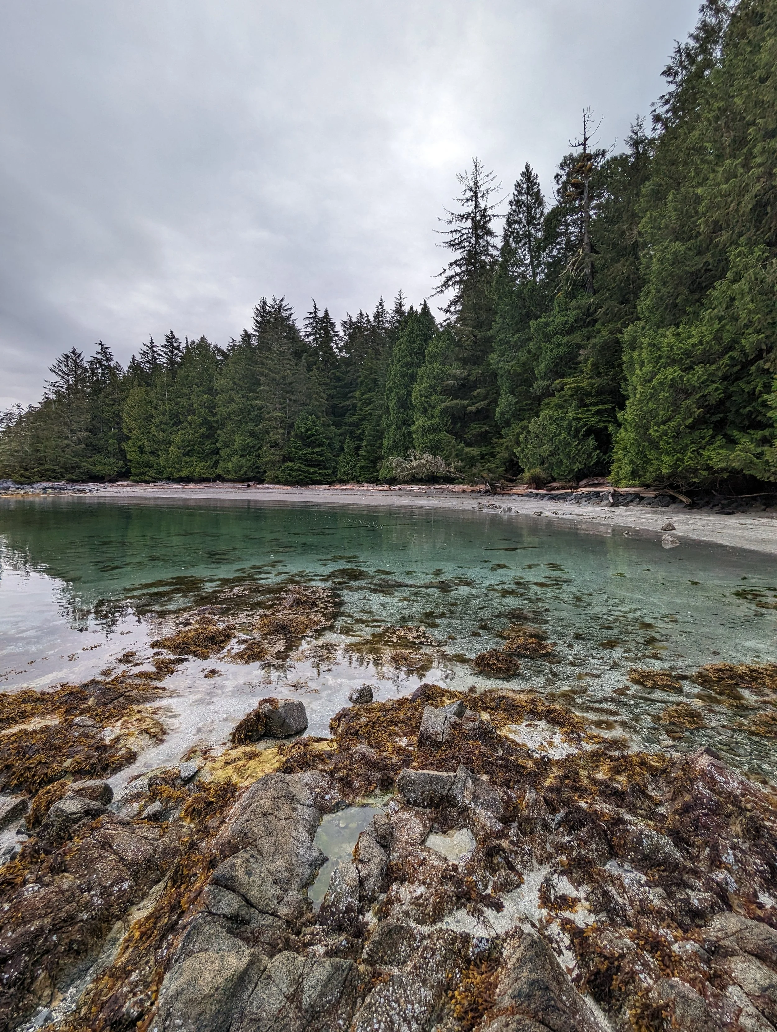 PXL_20240601_141633143 (1).jpg