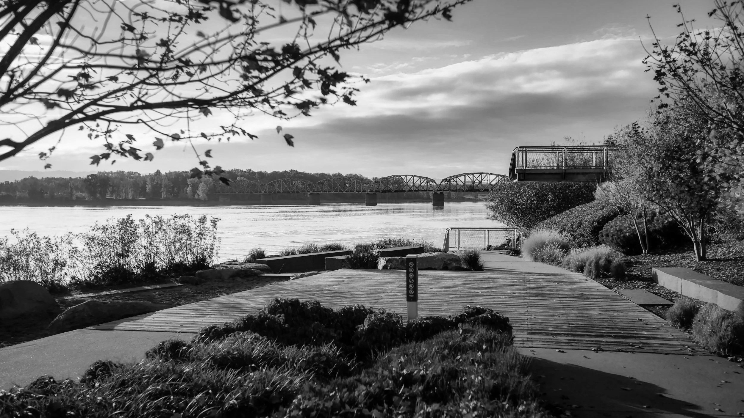 A black and white photo of a riverside park with a walking path, bushes, trees, and a bridge in the distance over the river.