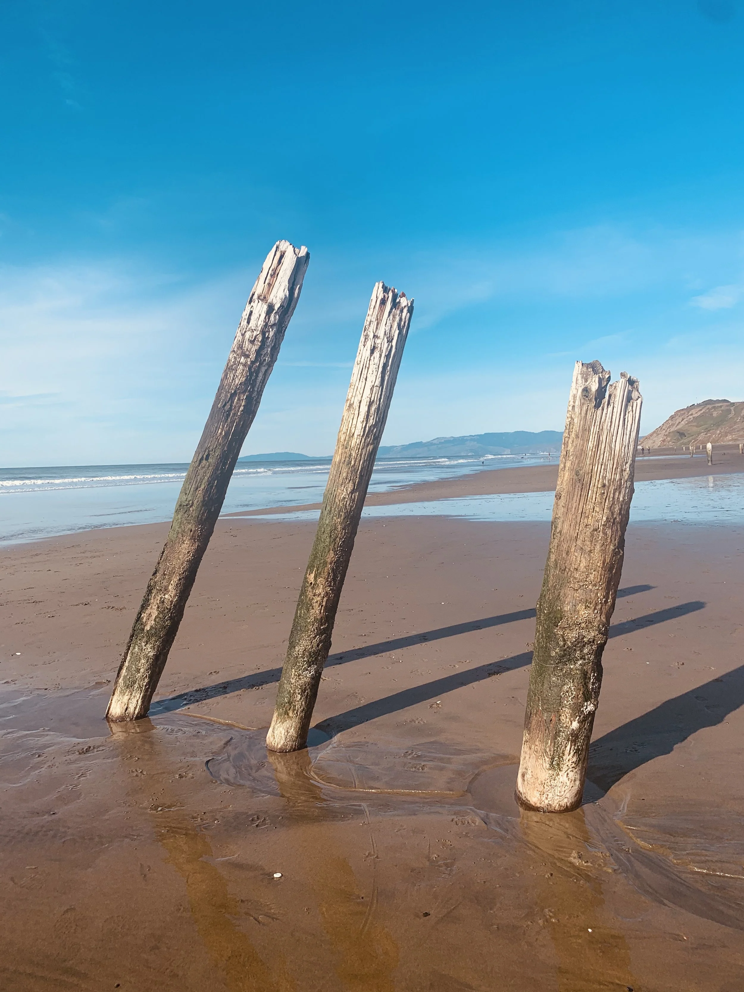 Three weathered wooden posts in the sand on a beach with the ocean, blue sky, and distant hills in the background.
