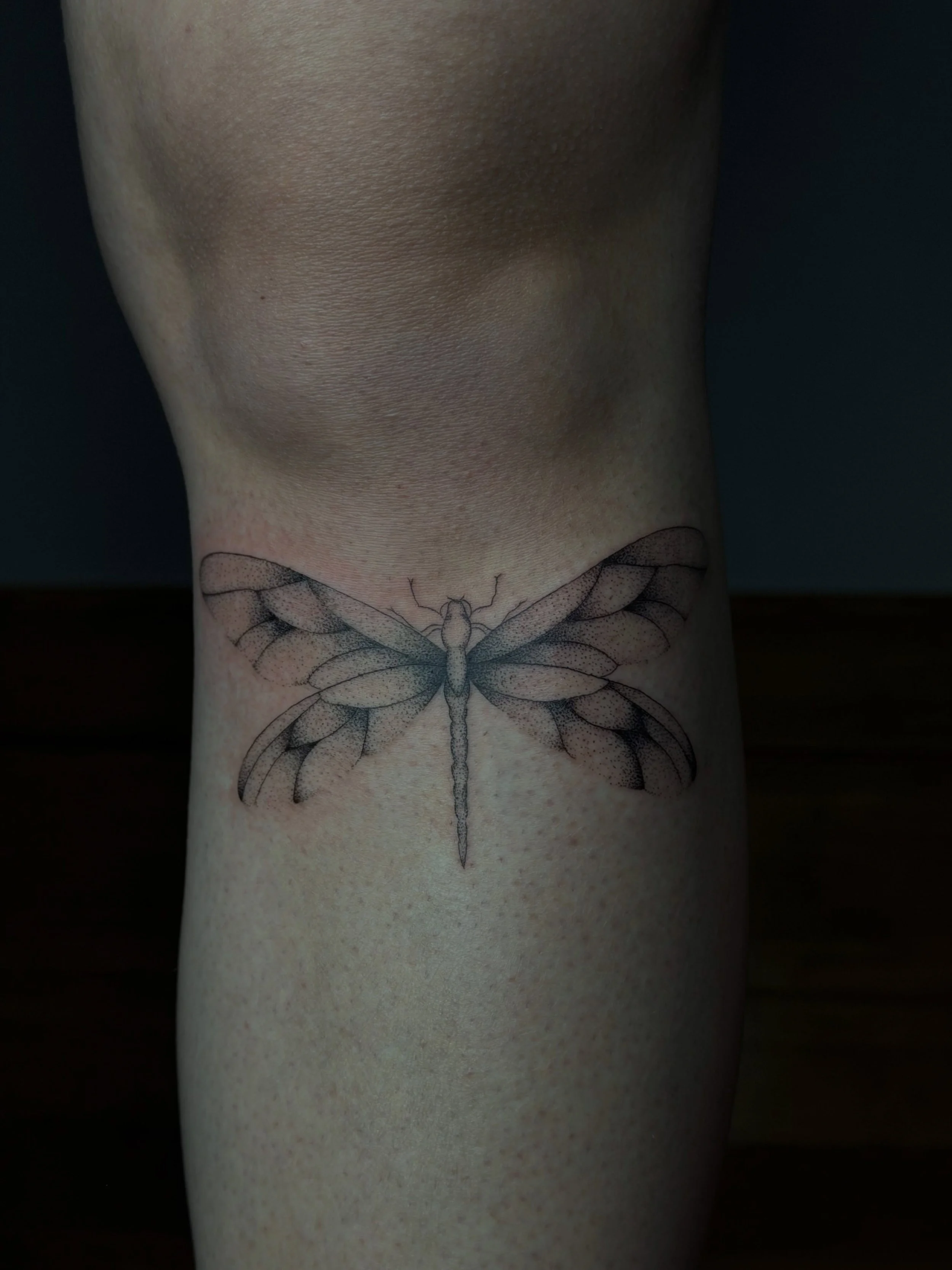 A delicate dragonfly 🪽✨

Light, graceful, and full of movement &mdash; one of those designs that feels timeless no matter where it&rsquo;s placed.

I loved creating this fine line piece and bringing such an elegant little creature to life on the ski
