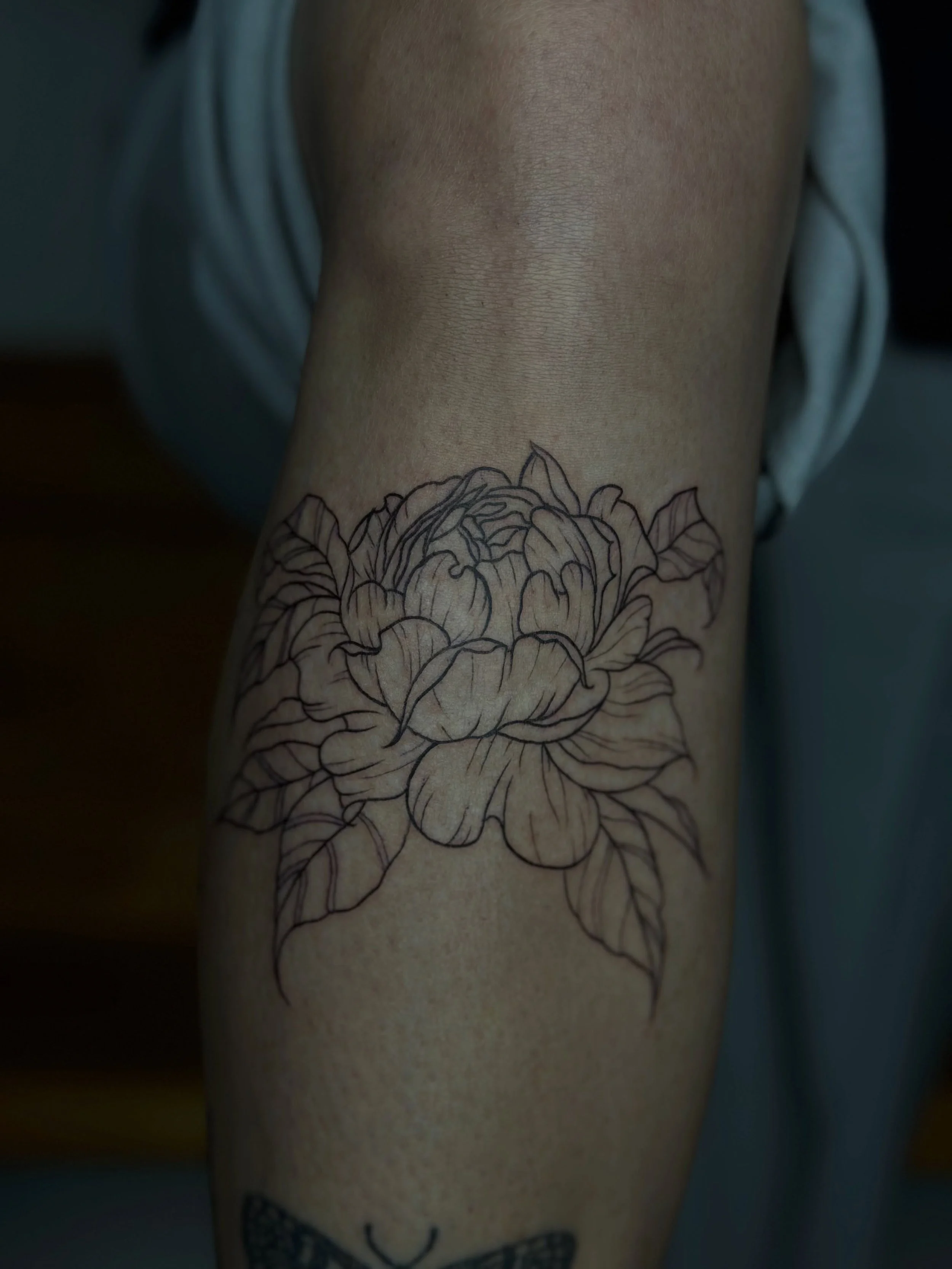 A rose, but with a little more contrast than my usual work ✨

Bold outer lines, delicate fine line details inside &mdash; the perfect balance between softness and strength.

I loved creating this piece and giving it a bit of a different character whi