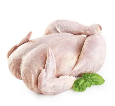 Cornish Cross Meat Chickens