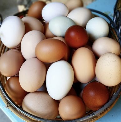 Farm Fresh Chicken Eggs