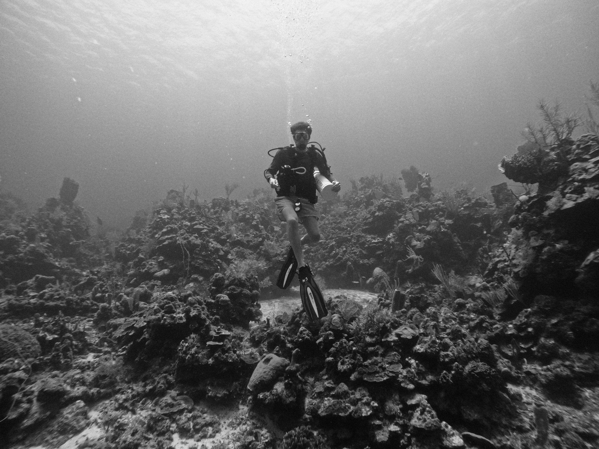 A person scuba diving underwater surrounded by coral reefs and marine life.