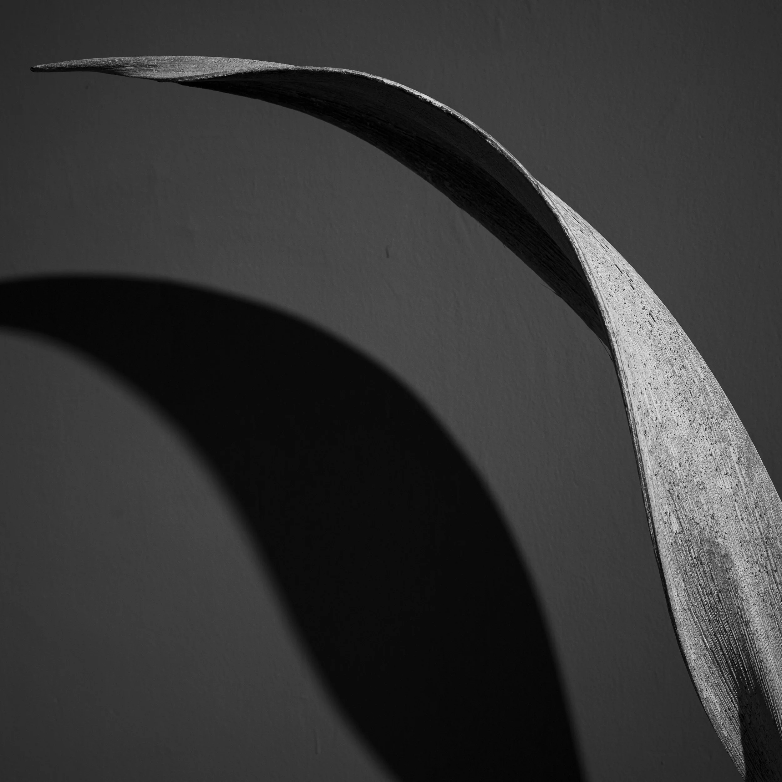 05-01-22_PAT_Wine_0089 copy.jpg