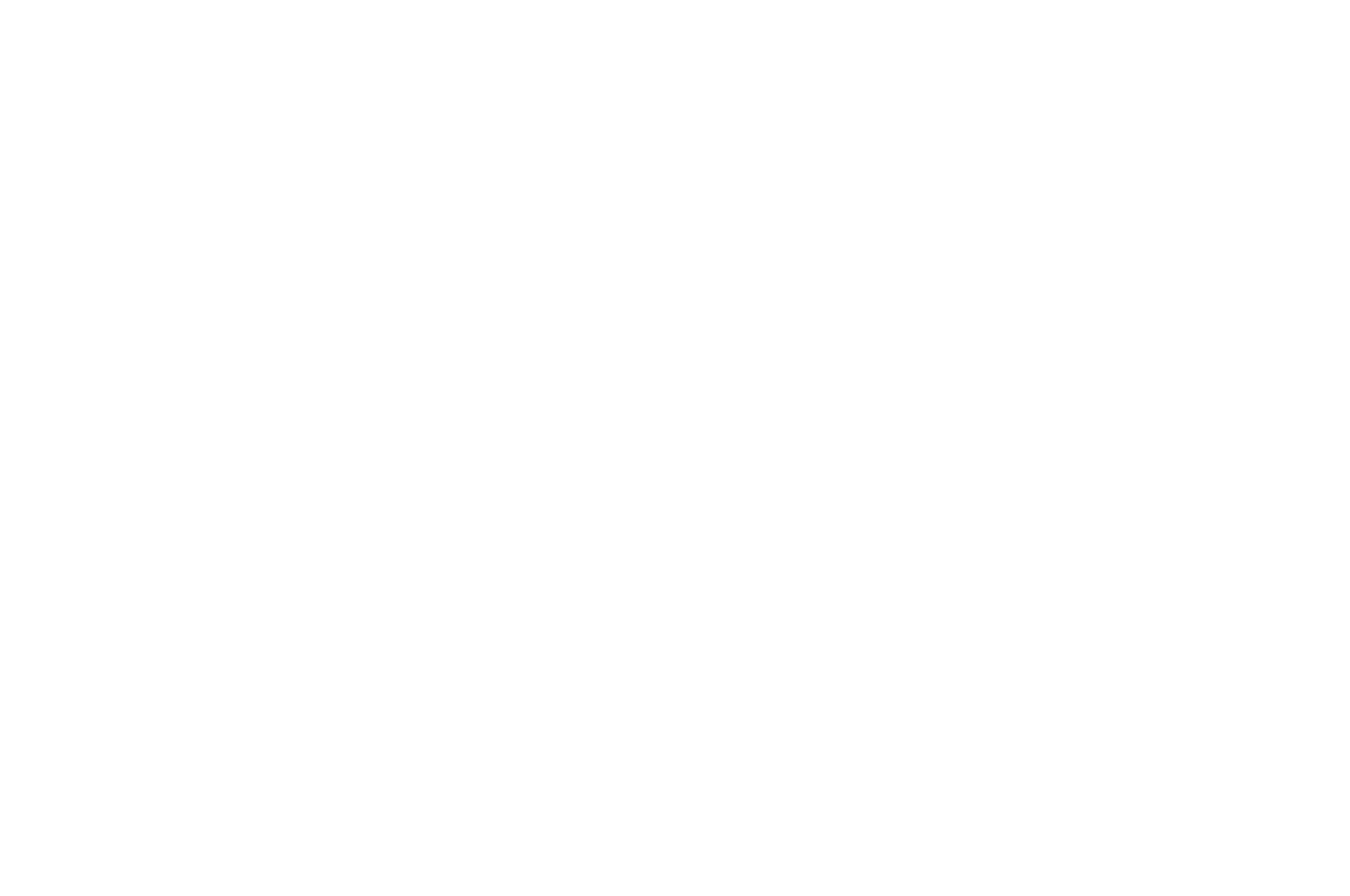 WINNER BEST DIRECTOR - Astoria Film Festival - 2023.png