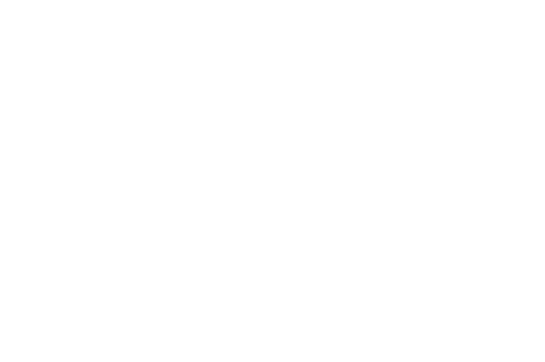 OFFICIAL SELECTION - Los Angeles Greek Film Festival - 2024.png