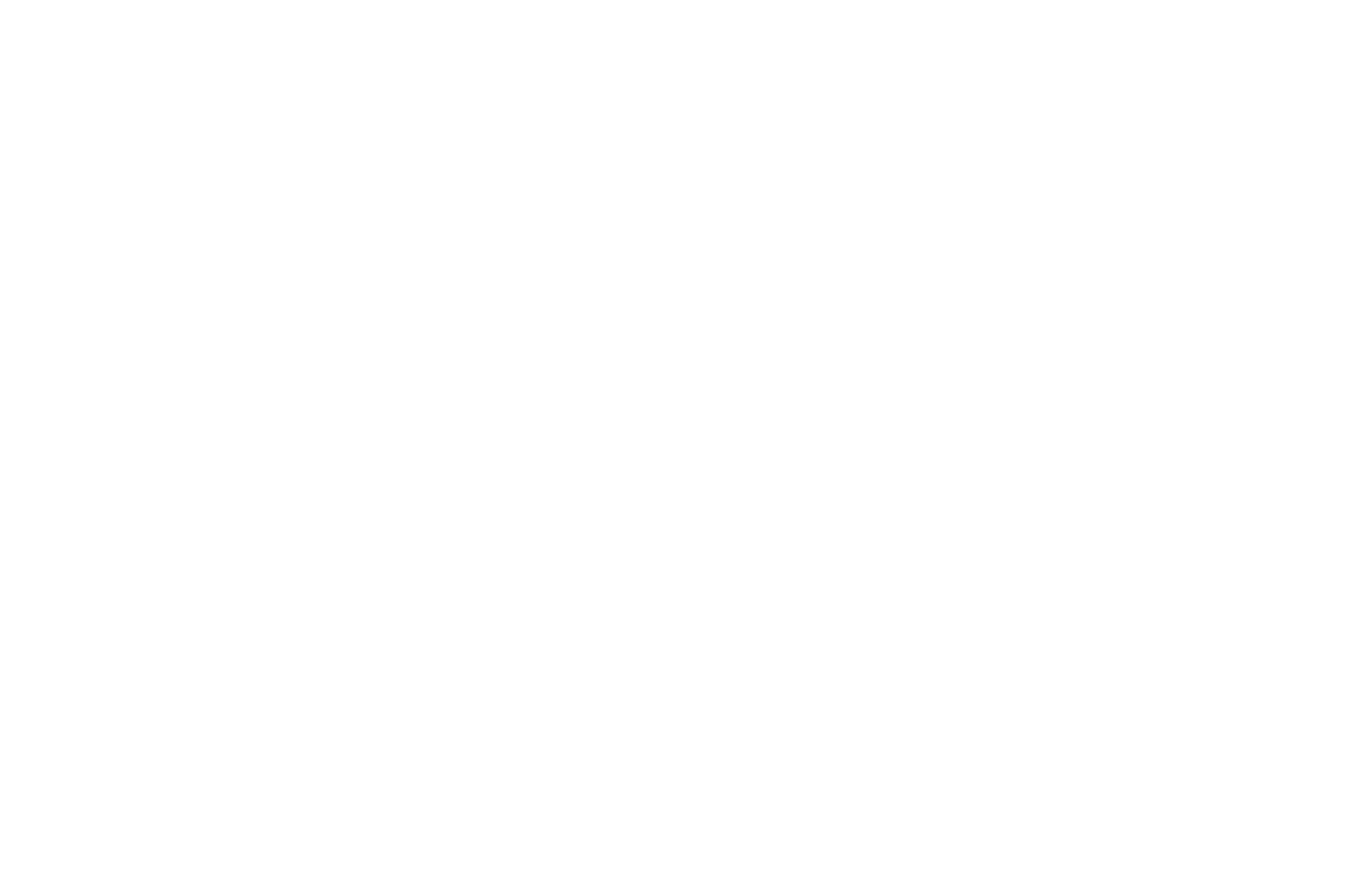 OFFICIAL SELECTION - Houston Greek Film Festival - 2024.png