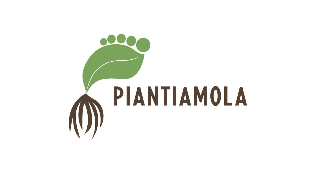 piantiamola.jpg